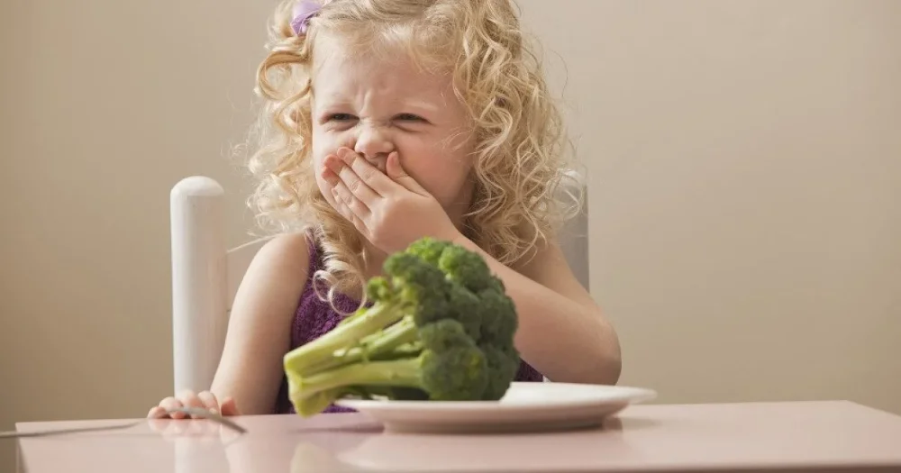 Relación entre psicología y trastorno alimentación en personas con rumiación