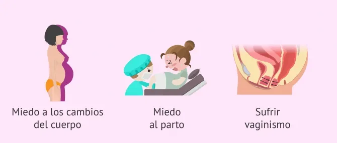 Superando miedos y ansiedades en la adopción de embriones