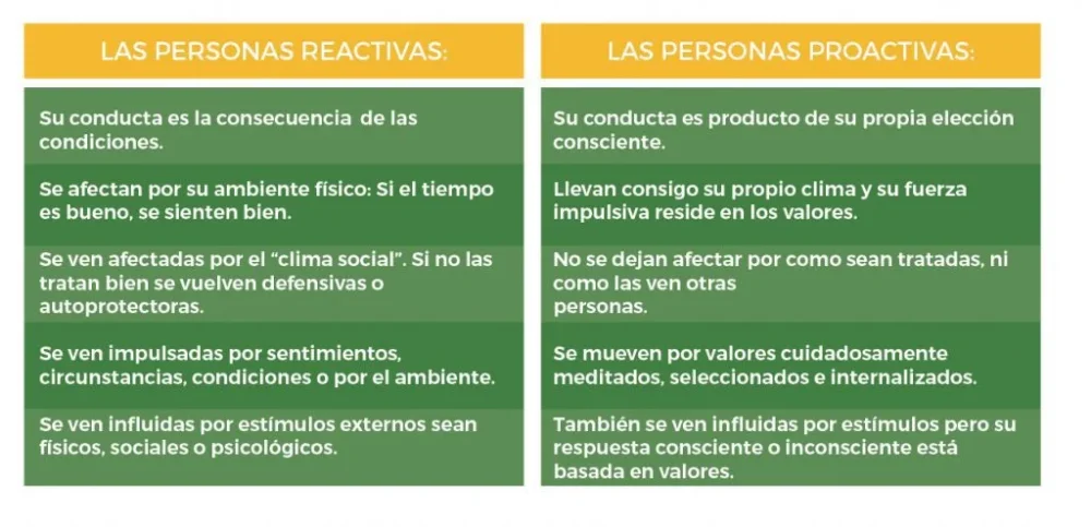 Cómo influir en el comportamiento proactivo estrategias efectivas