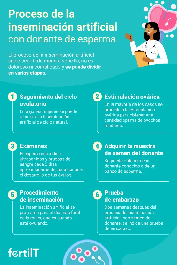 Consejos para parejas en adopción de esperma Navegar el proceso
