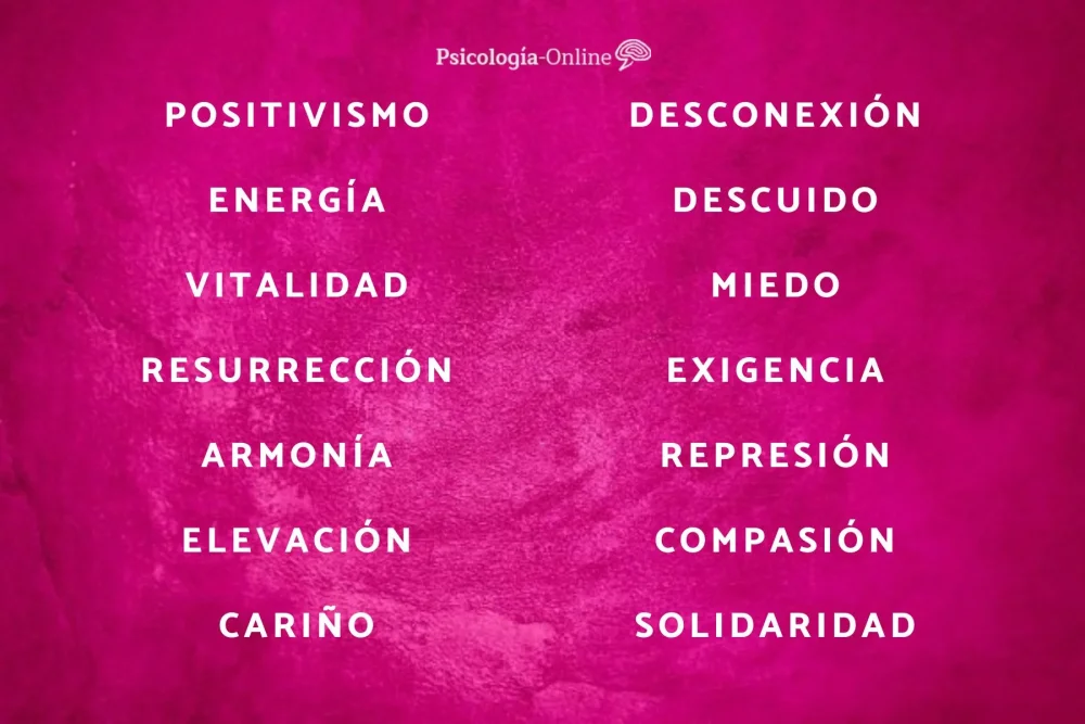 El Significado del Color Fucsia Análisis Conciso