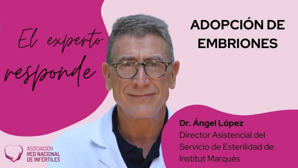 Guía completa de experto en adopción de embriones