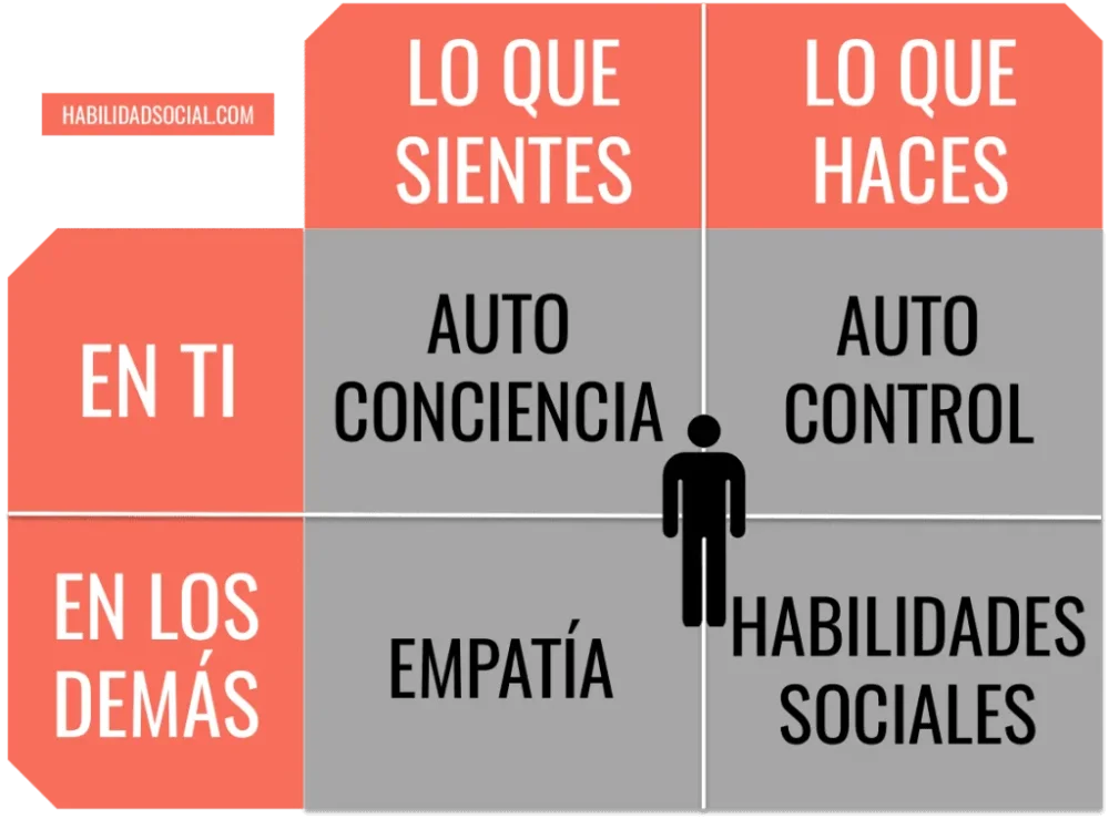 Guía para evaluar la inteligencia emocional de forma concisa