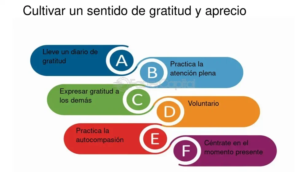 Consejos para cultivar gratitud y aceptación en la donación