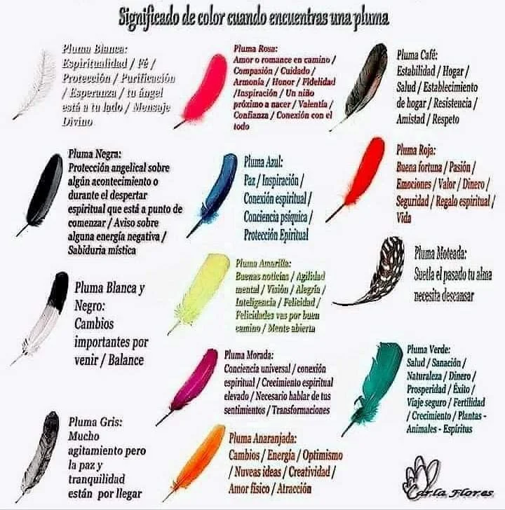 El significado de las plumas y sus colores