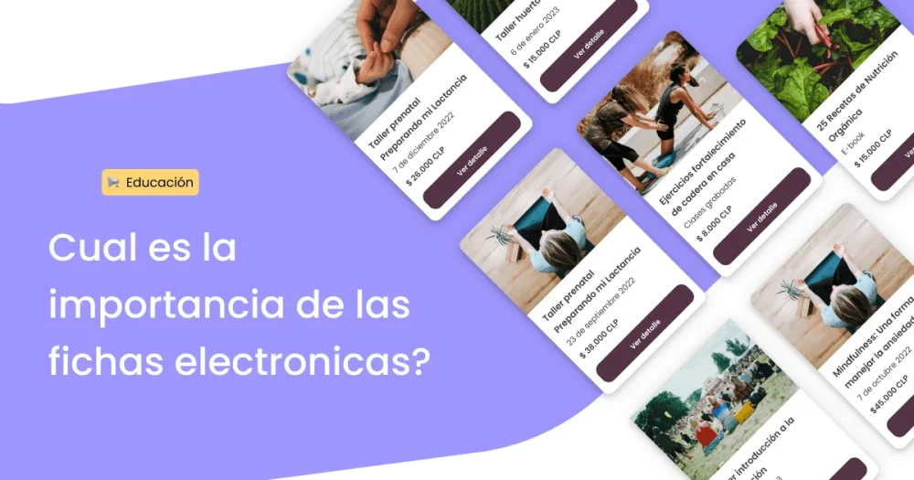 Partes esenciales de una ficha electrónica Lo esencial resumido