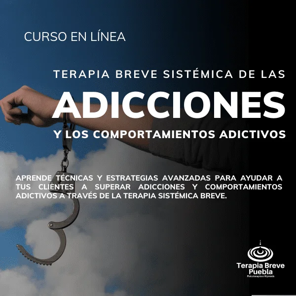Terapia Sistémica para las Adicciones