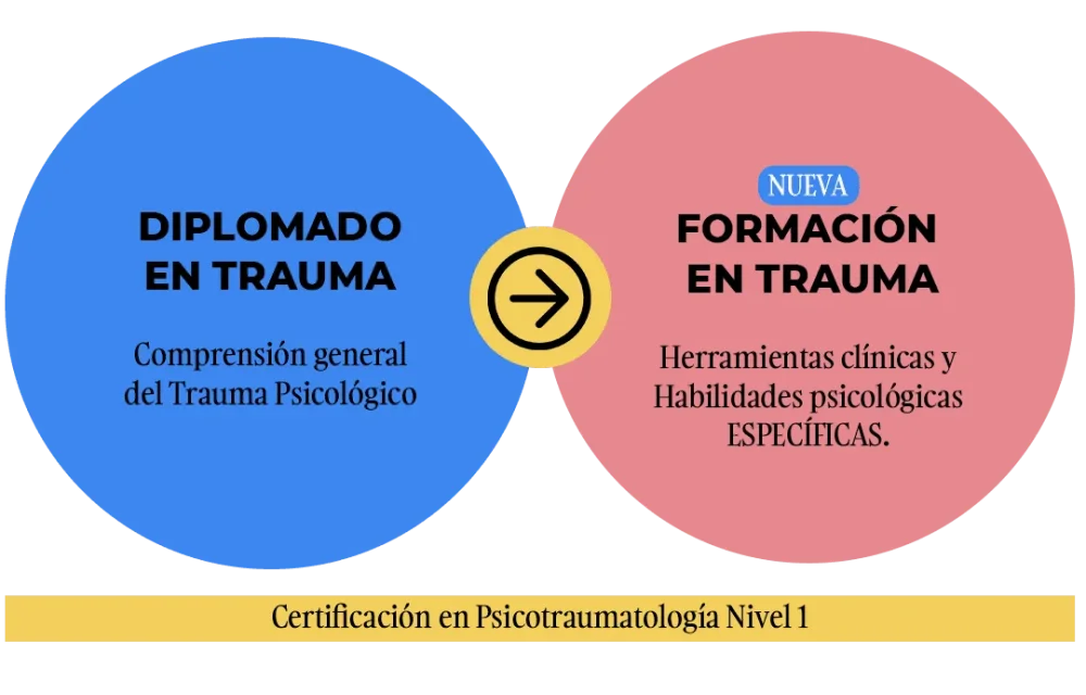 Atención Integral para el Trauma Emocional Enfoque Optimizado