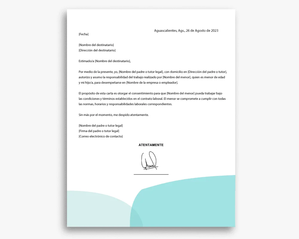 Carta Responsiva Todo lo que necesitas saber