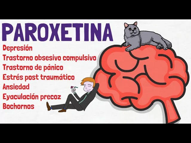 Paroxetina acción en el organismo