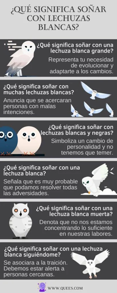 Descifrando el significado de las lechuzas blancas