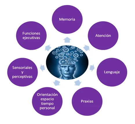 La Función Cognitiva Significado y Aplicaciones