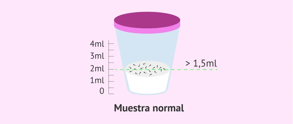 Diferencias en eyaculación ¿Por qué varía la cantidad?