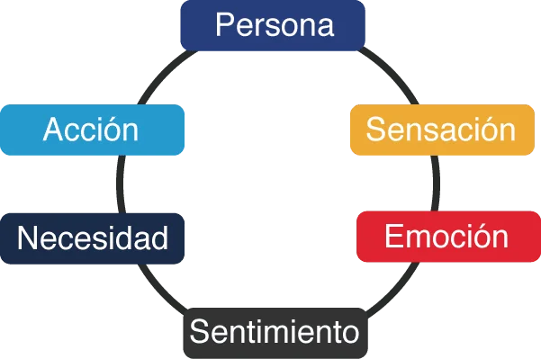 Emoción y comportamiento cooperativo una influencia significativa