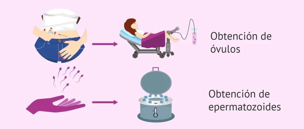 Herramientas psicológicas para adopción de esperma exitosa