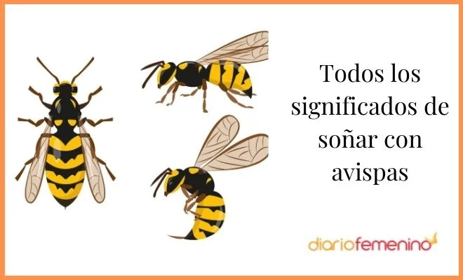 Interpretación sueños con avispas revoloteando
