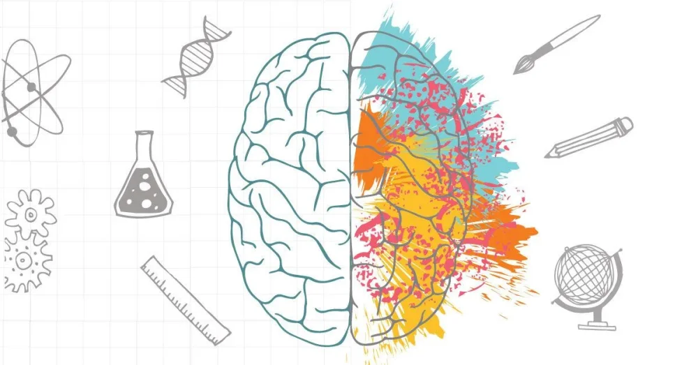 Secretos del hemisferio derecho e izquierdo del cerebro