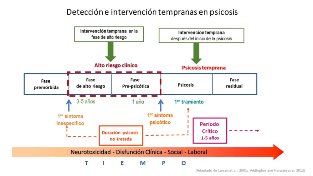 Tratamiento ideal brote psicótico