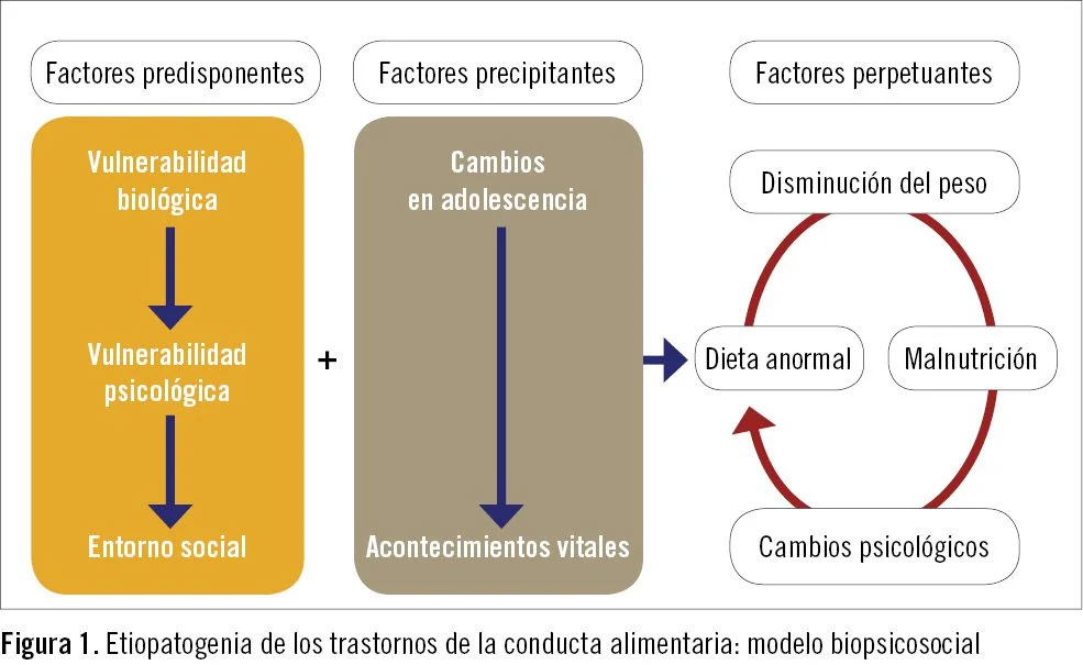 Vínculos entre trastornos de la personalidad y alimentación
