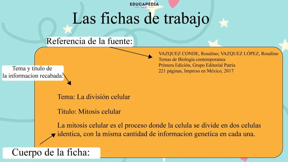 Características y Funciones de las Fichas de Trabajo Resumen