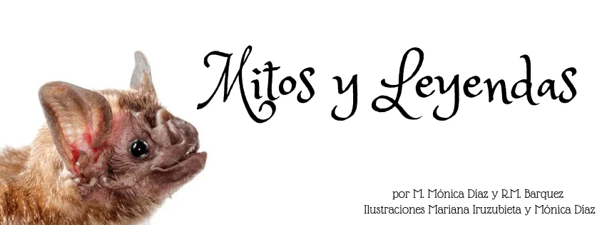 El significado del murciélago mito o realidad