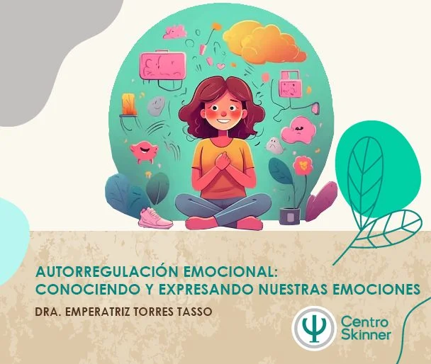 Potenciando la autorregulación emocional con terapia psicodinámica