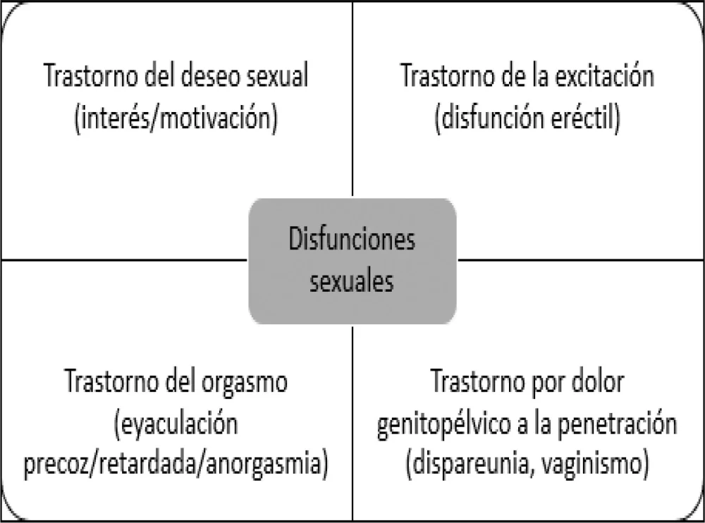 Problemas de eyaculación con antidepresivos soluciones y respuestas