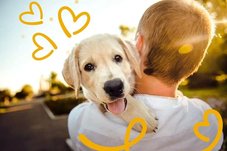 Regalando Perritos Pequeños Encuentra tu Compañero Perfecto