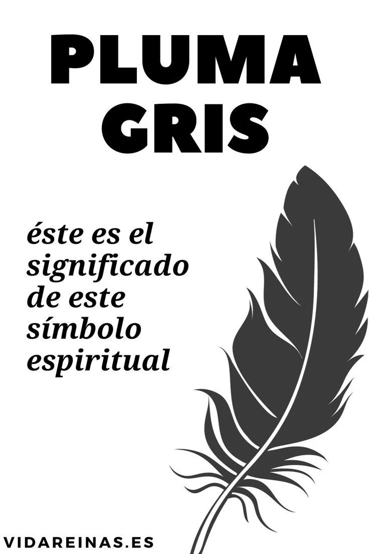 Significado Espiritual de la Pluma Gris