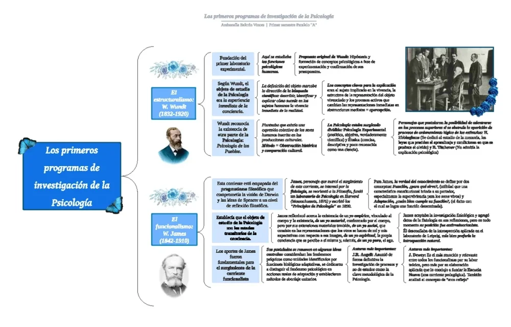 Características clave de la psicología descriptiva Visión concisa