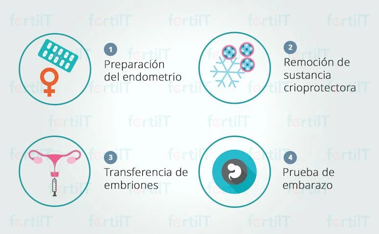 Consejos para Parejas en Adopción de Embriones