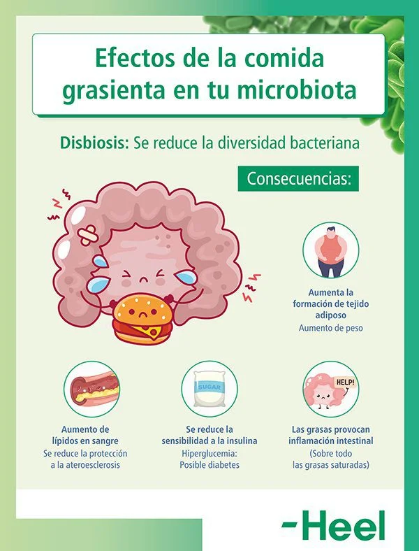Riesgos del consumo excesivo de grasas Comportamiento y consecuencias