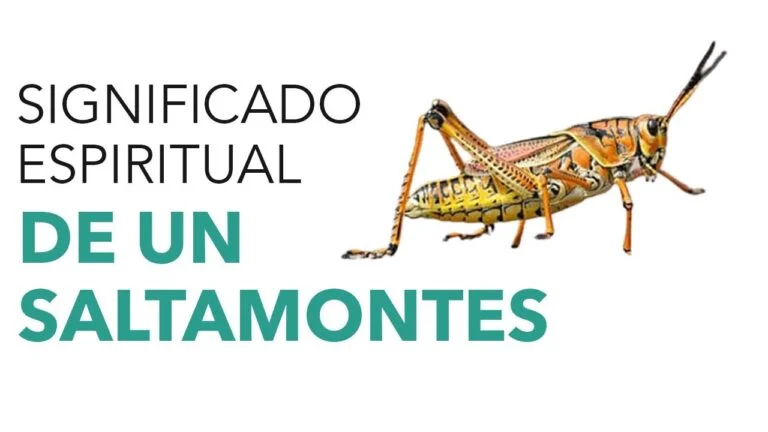 Significado del saltamontes marrón en el hogar