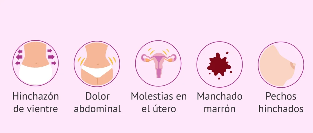 Cambios en la vida cotidiana durante la inseminación artificial