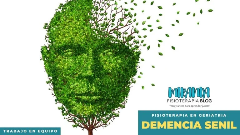 Etapas de la demencia senil guía - concisa y optimizada