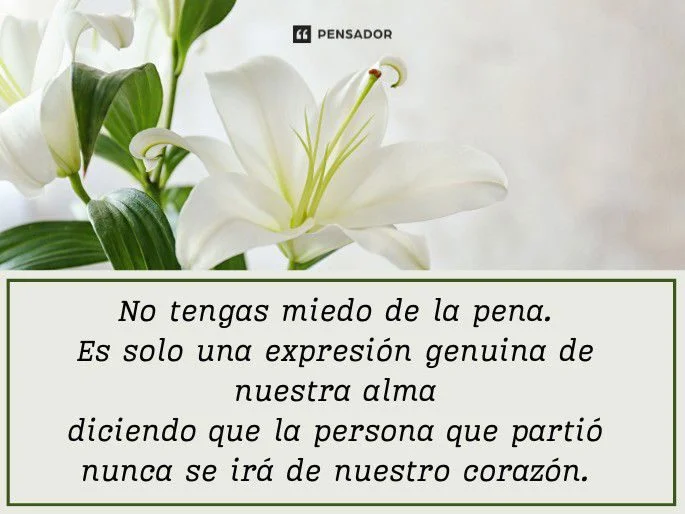 Frases de consuelo para recordar a un ser querido