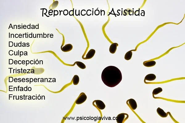 Manejo de la presión emocional en tratamientos de reproducción asistida