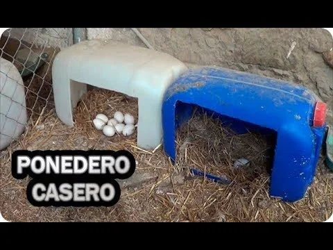 Mejores opciones de nidos para gallinas optimizando espacio y producción