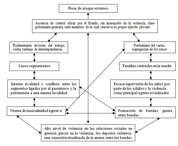 Comportamiento Agresivo en Situaciones de Guerra Análisis