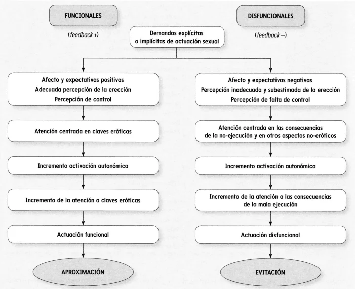 Desviaciones sexuales Comprendiendo comportamientos atípicos