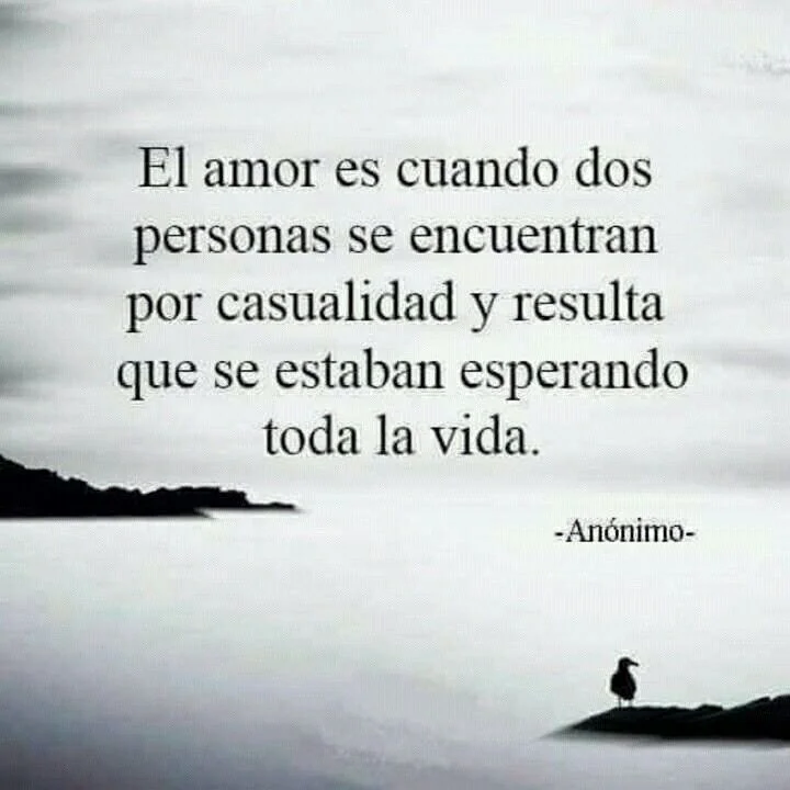 La casualidad que une a dos personas Frases inspiradoras