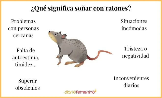 Significado de soñar con matar ratón