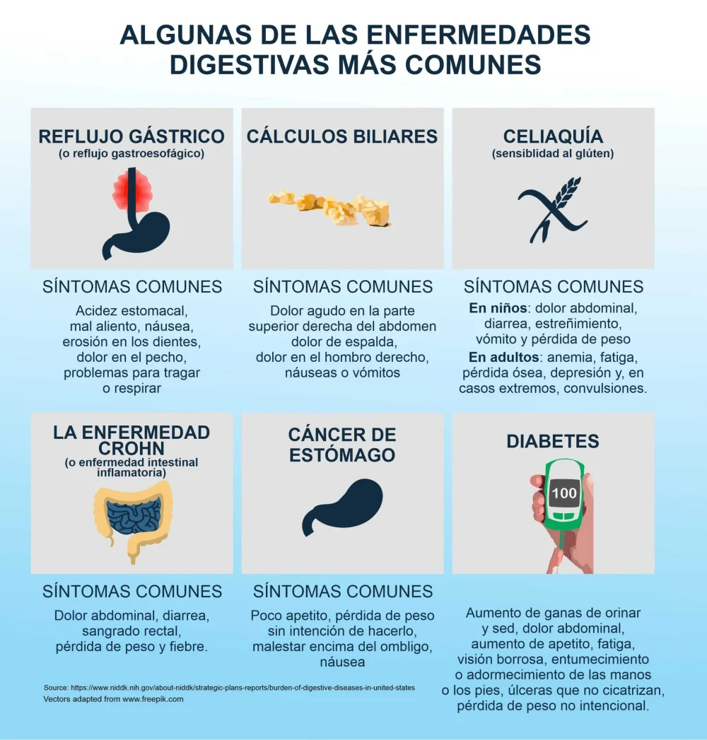 Causas de problemas digestivos ¿Por qué me sienta mal?
