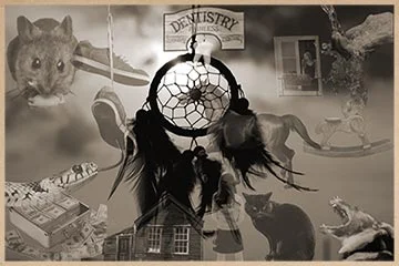 Los sueños de mi sabueso exploración fascinante
