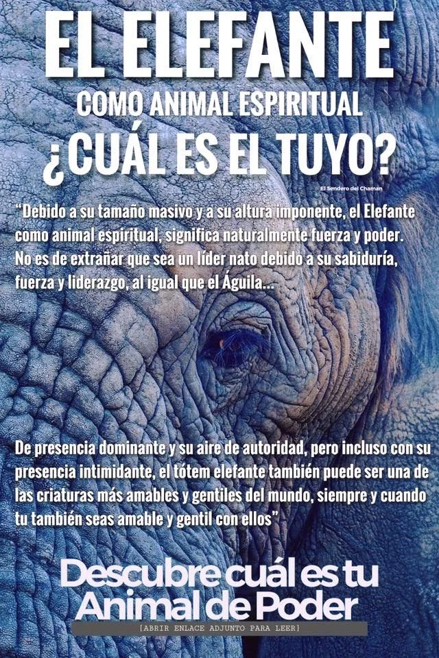 El elefante en la psicología símbolo de fortaleza y sabiduría