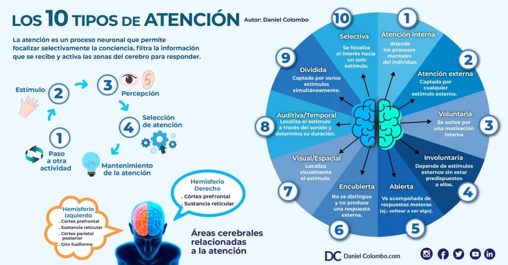 Optimiza tu enfoque con atención dividida y selectiva