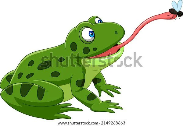 Alimentación de ranas pequeñas todo lo que debes saber