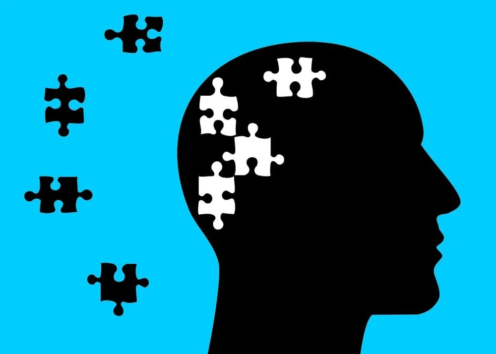 Psicología del pensamiento Explorando procesos mentales