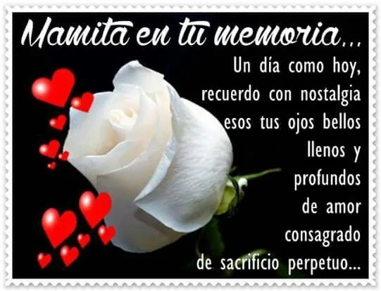 Recordando a mi madre fallecida Te echo de menos