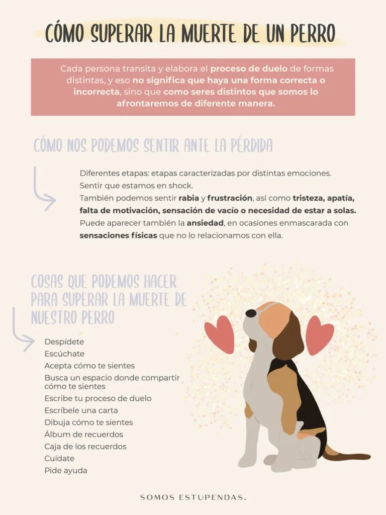 Soñando con mi perro fallecido una experiencia única
